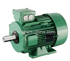 china manufacturer Y2 electric motor supplier