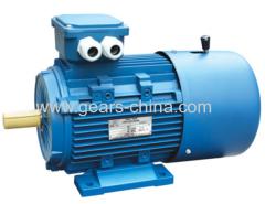 YEJ electric motors china supplier