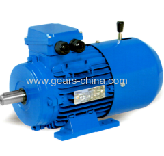 china manufacturer YEJ series motor