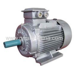 china supplier TYBZ synchronous motors