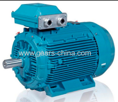 china manufacturer TYBZ synchronous motors