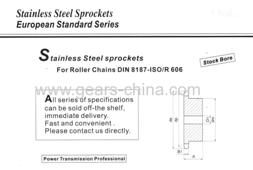 European Stainless Steel roller chain sprockets