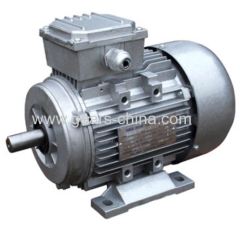china manufacturer Y2 series motor