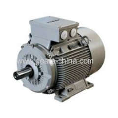 TYBZ synchronous motor made in china