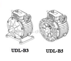 speed variator UDL Series china suppliers