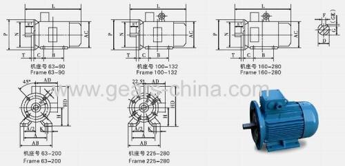 High quality shake head fan motor with TYGZ synchronous motor