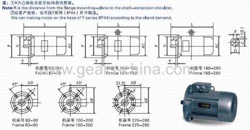 High quality shake head fan motor with TYGZ synchronous motor